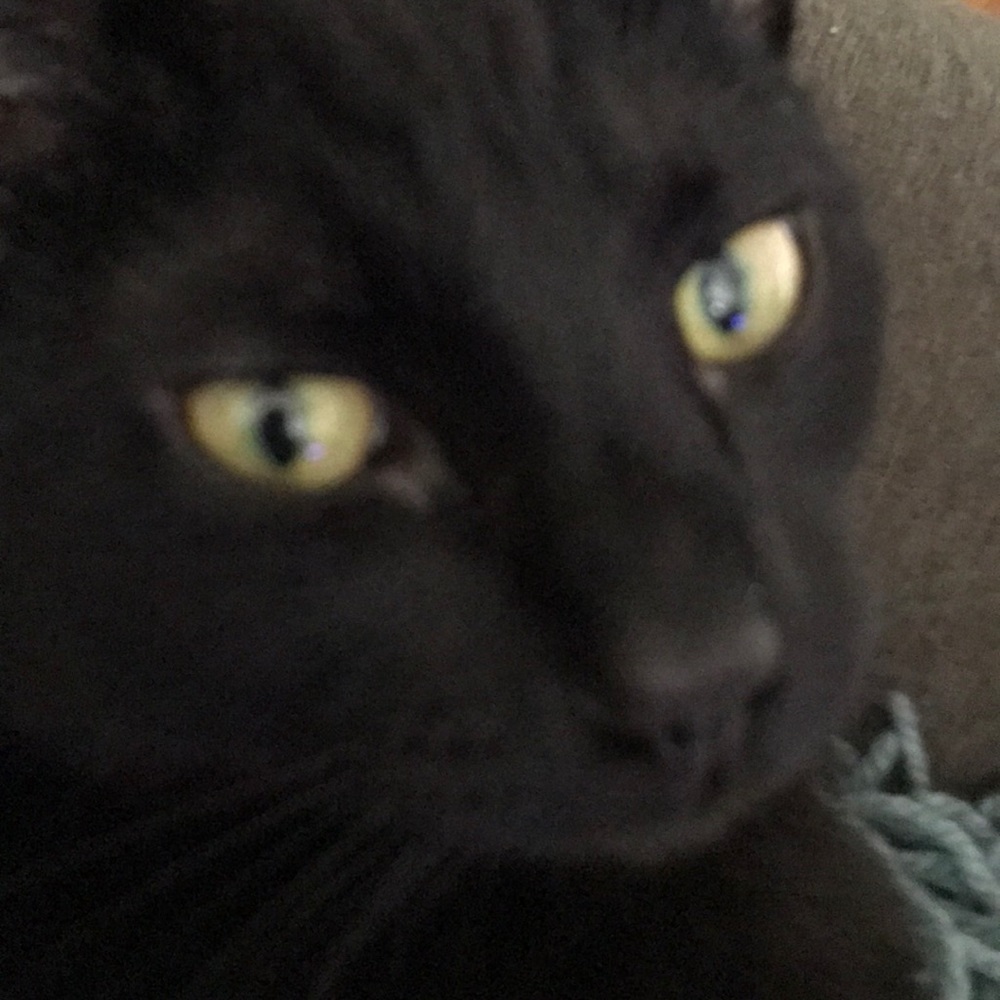 Meet your Posher, Marie